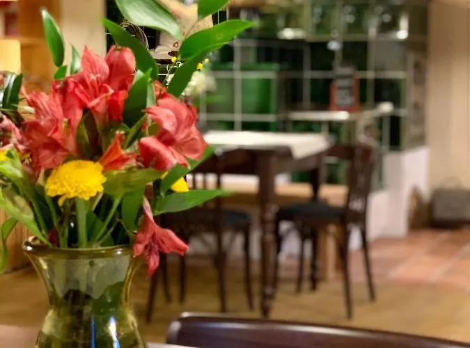 Hotel Dvur Hanis - Adults Only - Deti Od 12 Let Marsov nad Metuji