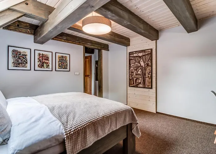 Hotel Dvur Hanis - Adults Only - Deti Od 12 Let