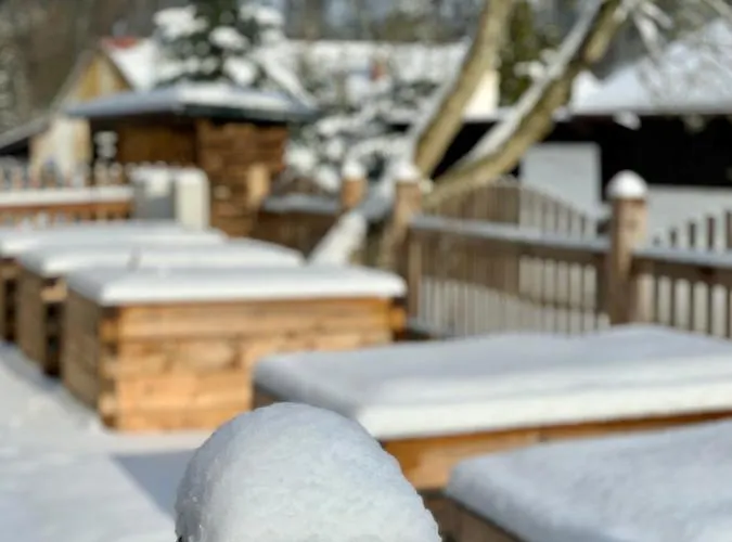 Hotel Dvur Hanis - Adults Only - Deti Od 12 Let Marsov nad Metuji